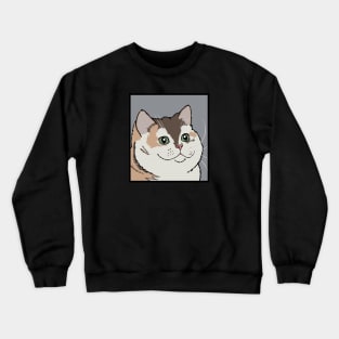 Excited Cat Meme Crewneck Sweatshirt